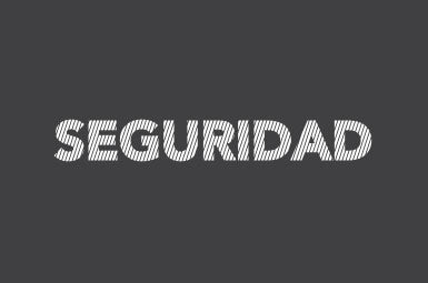 SEGURIDAD PRIVADA
