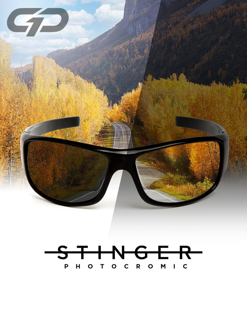 Gafas Fotocromáticas Lentes Polarizados Ventajas Y Desventajas